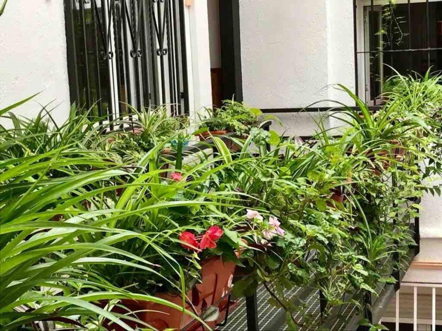 Los Flamencos, Malasana Loft Madrid 45Mq Экстерьер фото