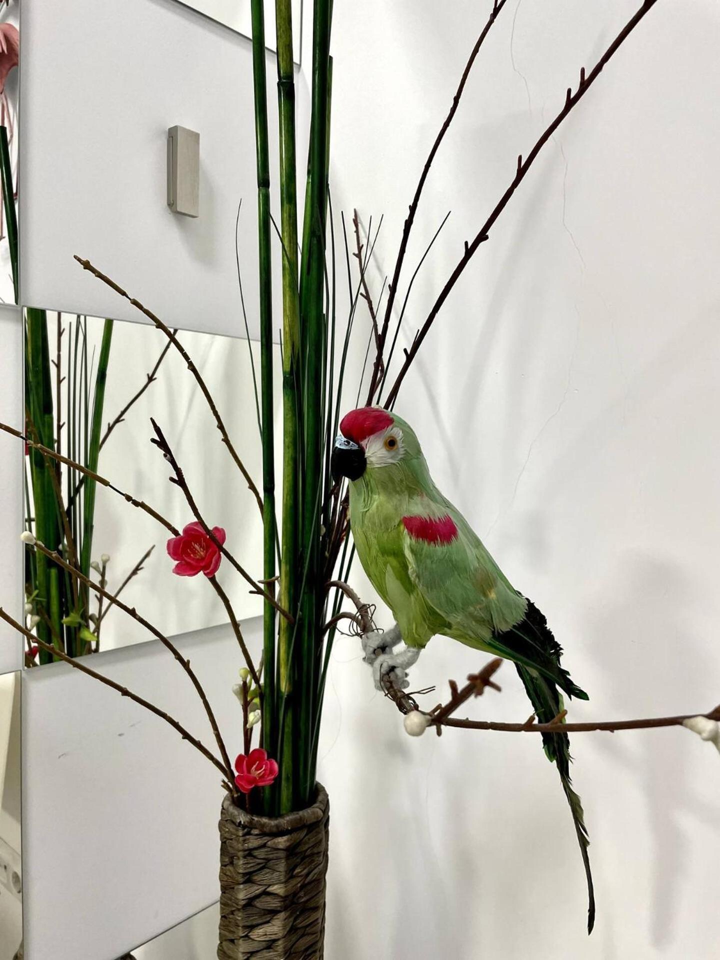 Los Flamencos, Malasana Loft Madrid 45Mq Экстерьер фото